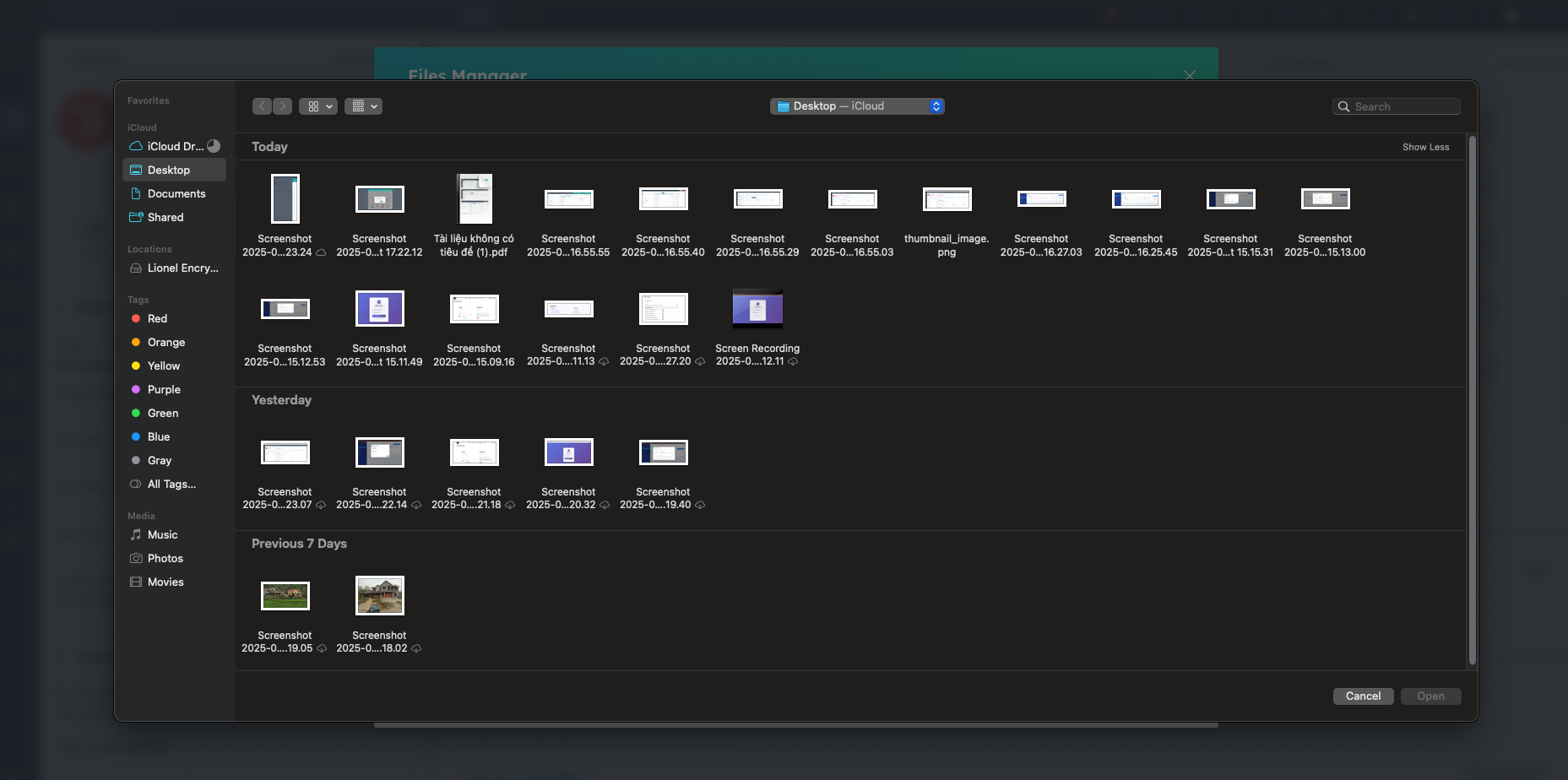 Upload File Button